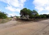 Terreno em São José de Mipibu Zona de expansão - Foto