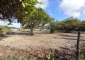 Terreno em São José de Mipibu Zona de expansão - Foto